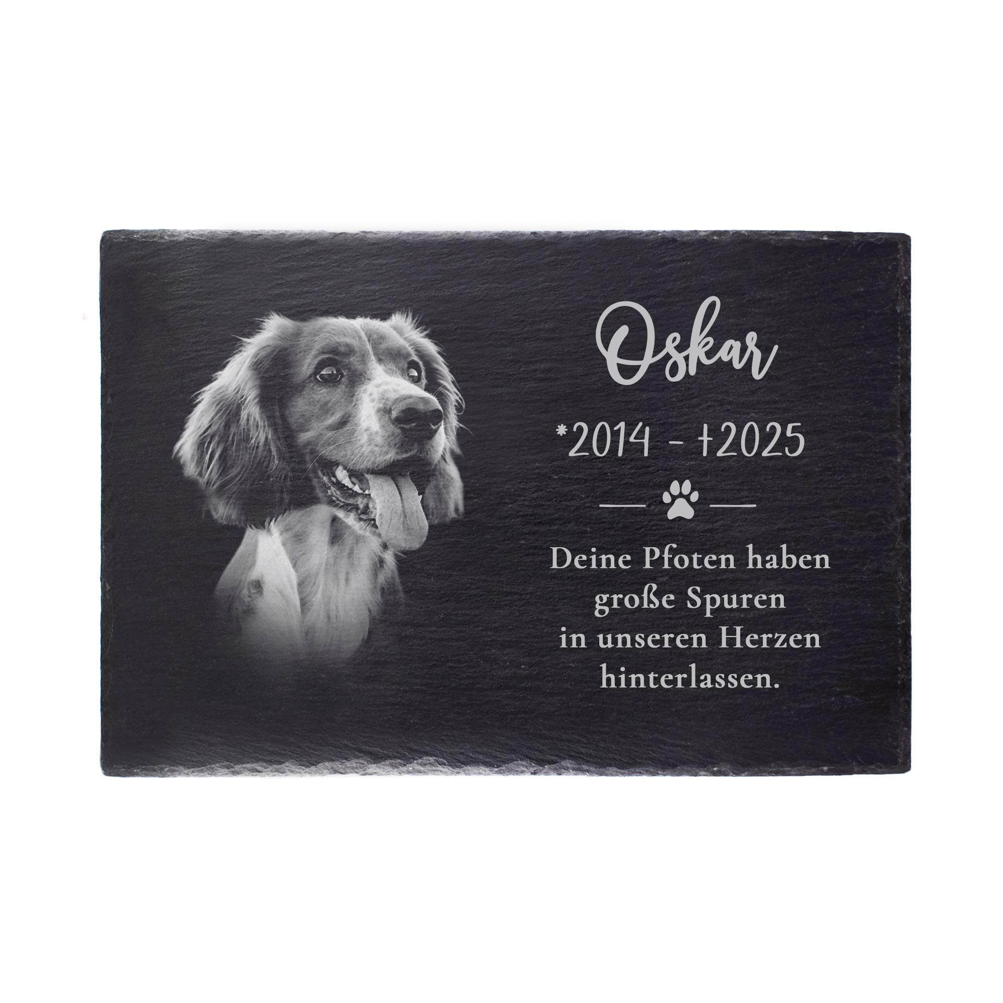 Personalisierte Grabplatte mit Foto - Hund & Katze