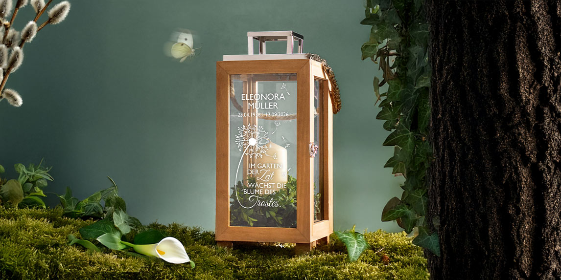 0003-0006-DP-DU36_P_Quer