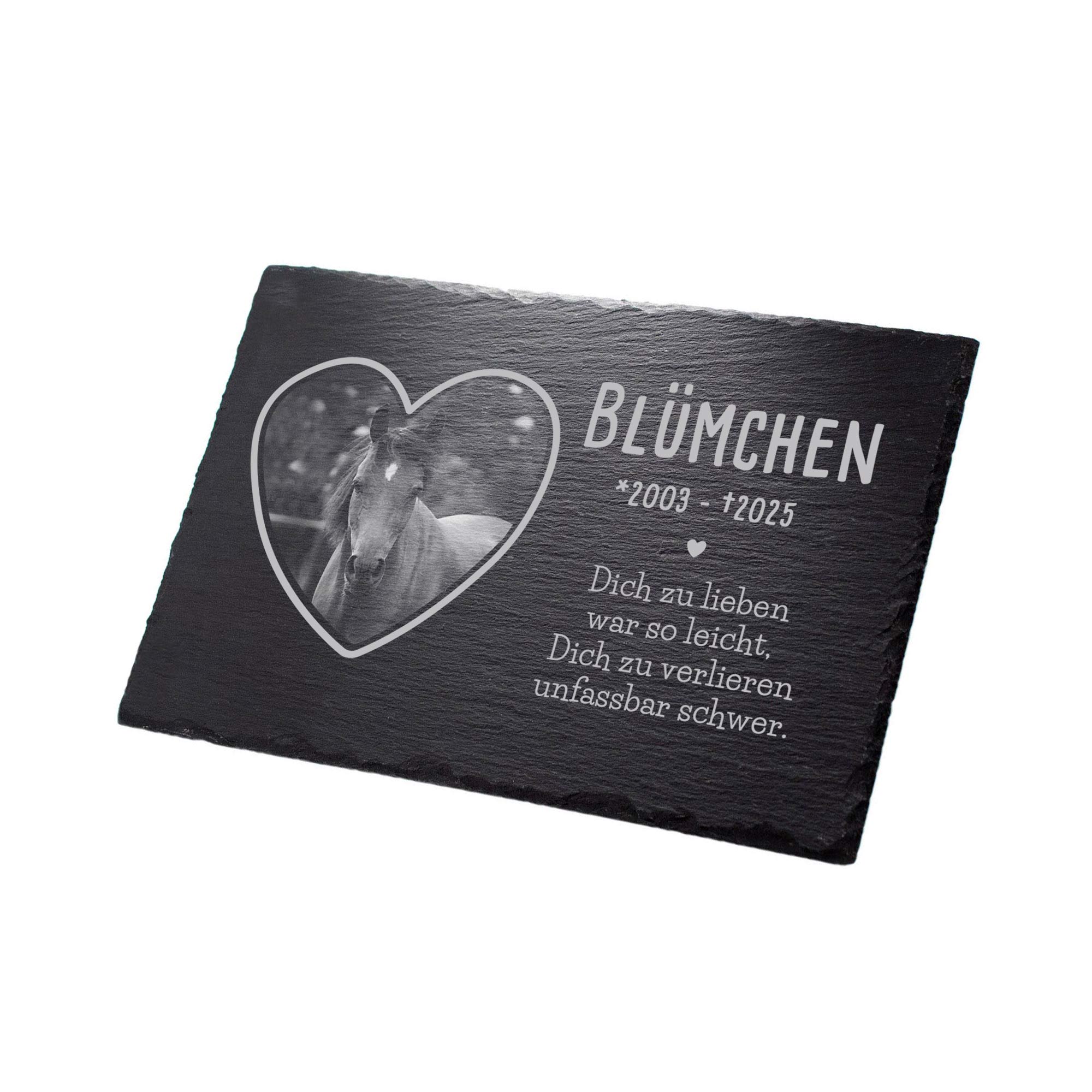 Personalisierte Grabplatte mit Foto für Haustier - In Liebe