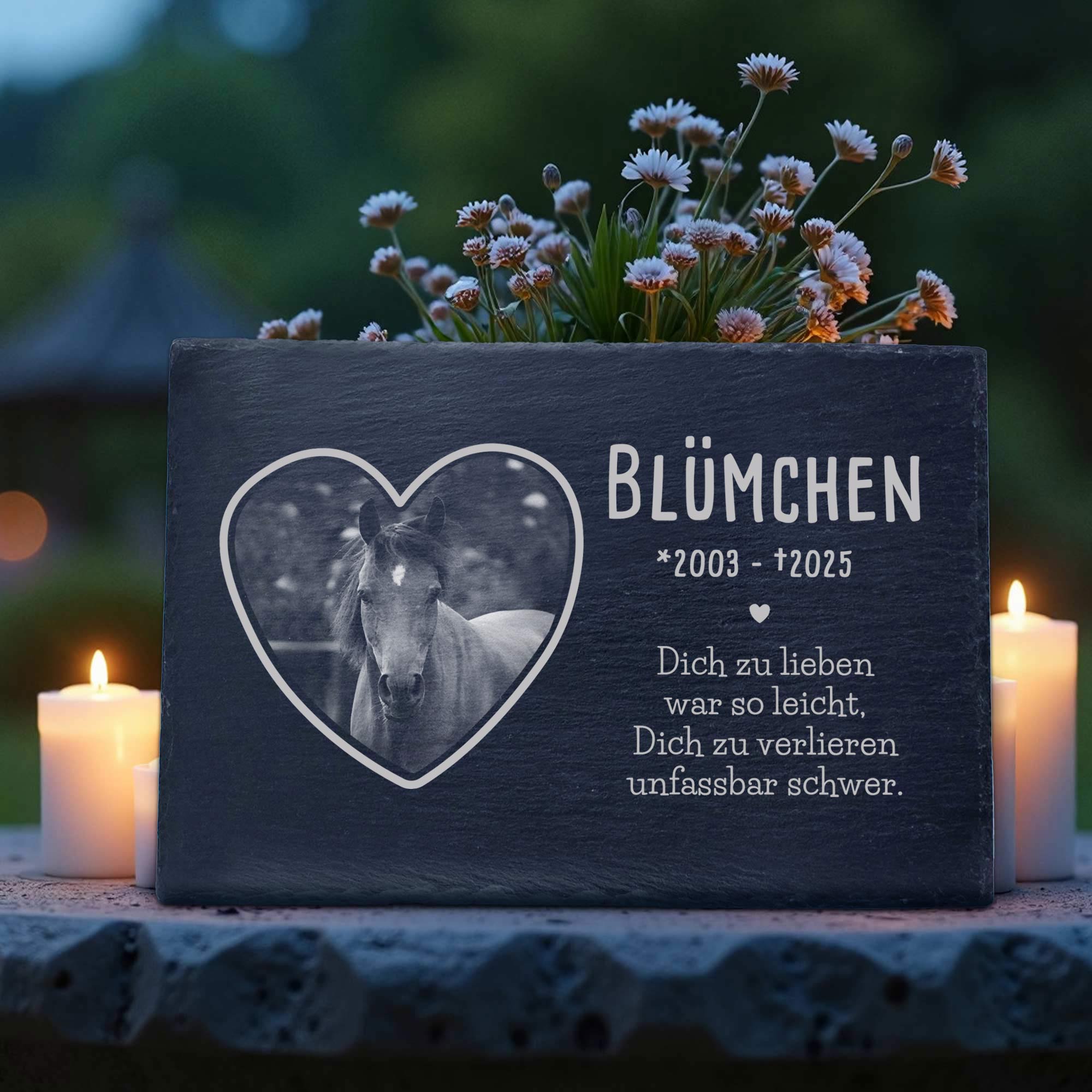 Personalisierte Grabplatte mit Foto für Haustier - In Liebe
