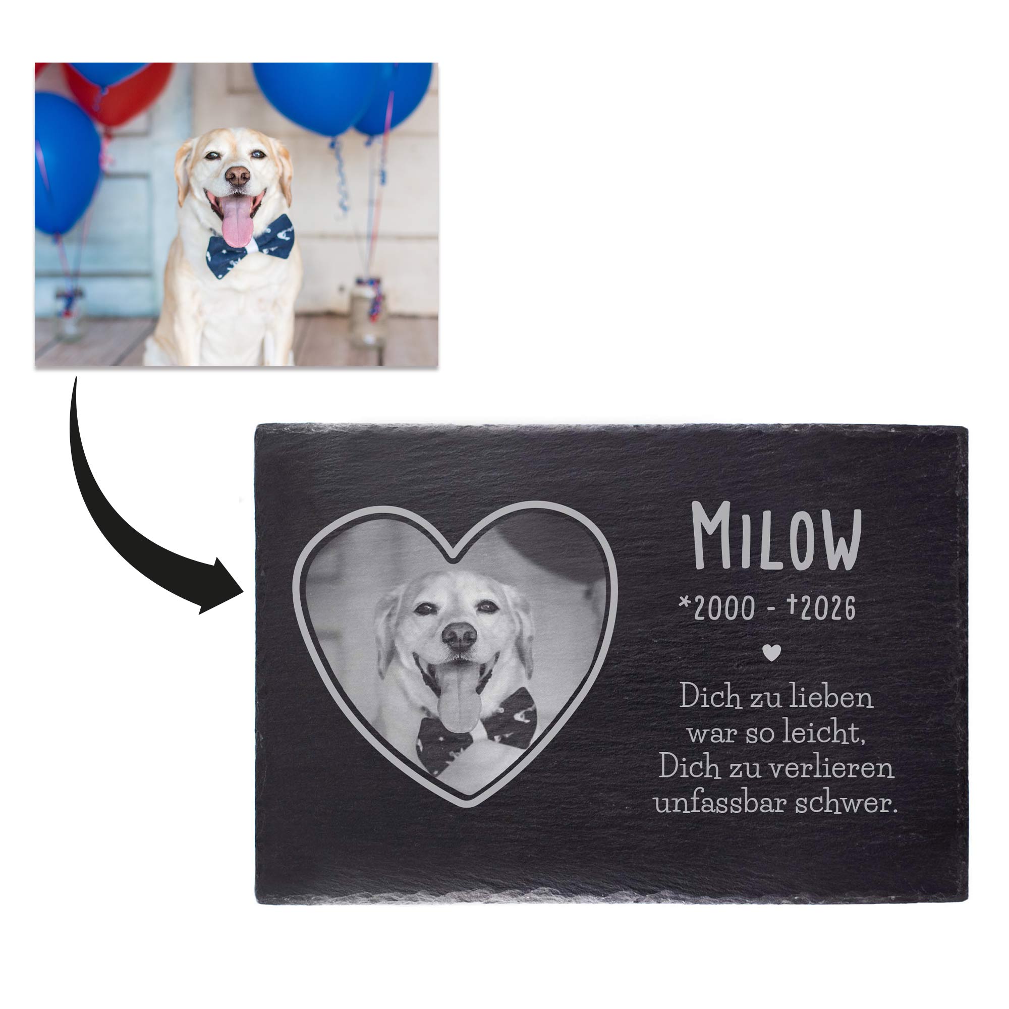 Personalisierte Grabplatte mit Foto für Haustier - In Liebe