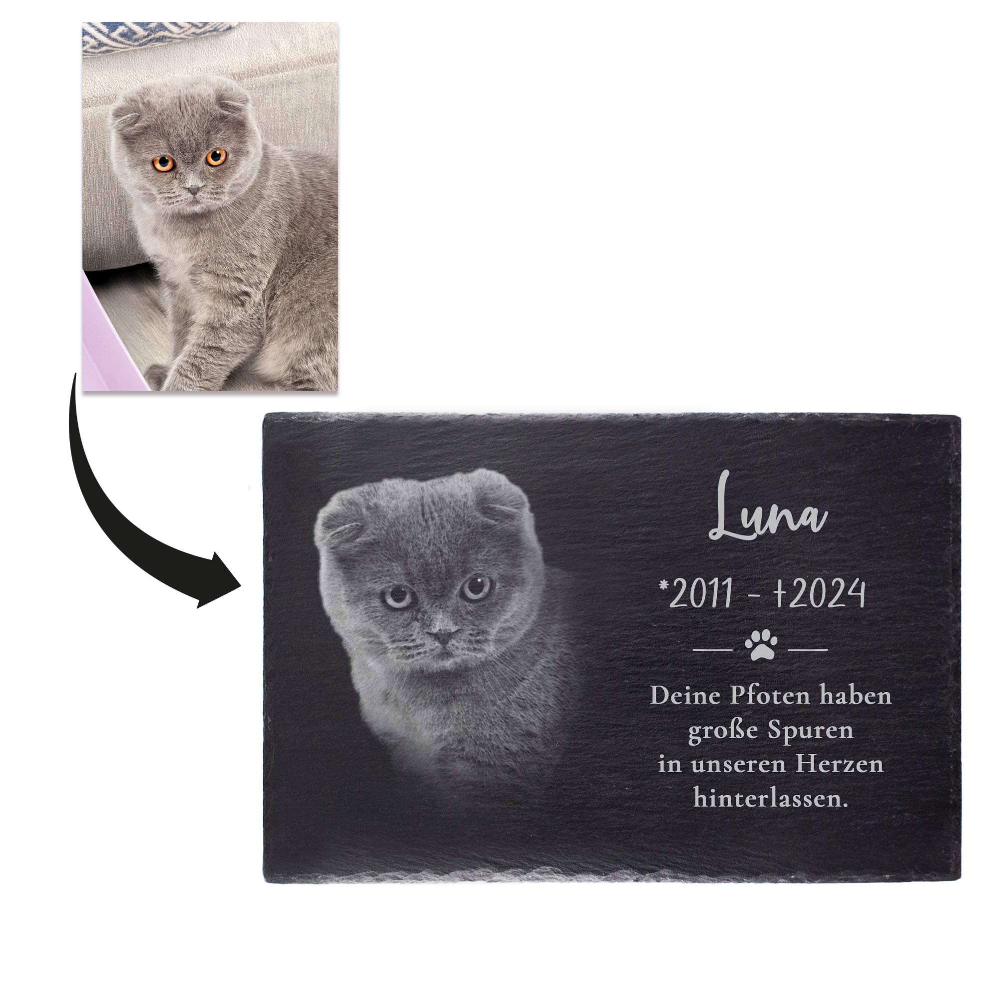 Personalisierte Grabplatte mit Foto - Hund & Katze